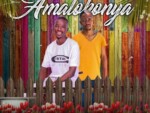 LIL V BBM & Delamighty – Amalokonya